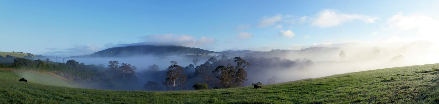 Dangar View, Dorrigo National Park, New South Wales